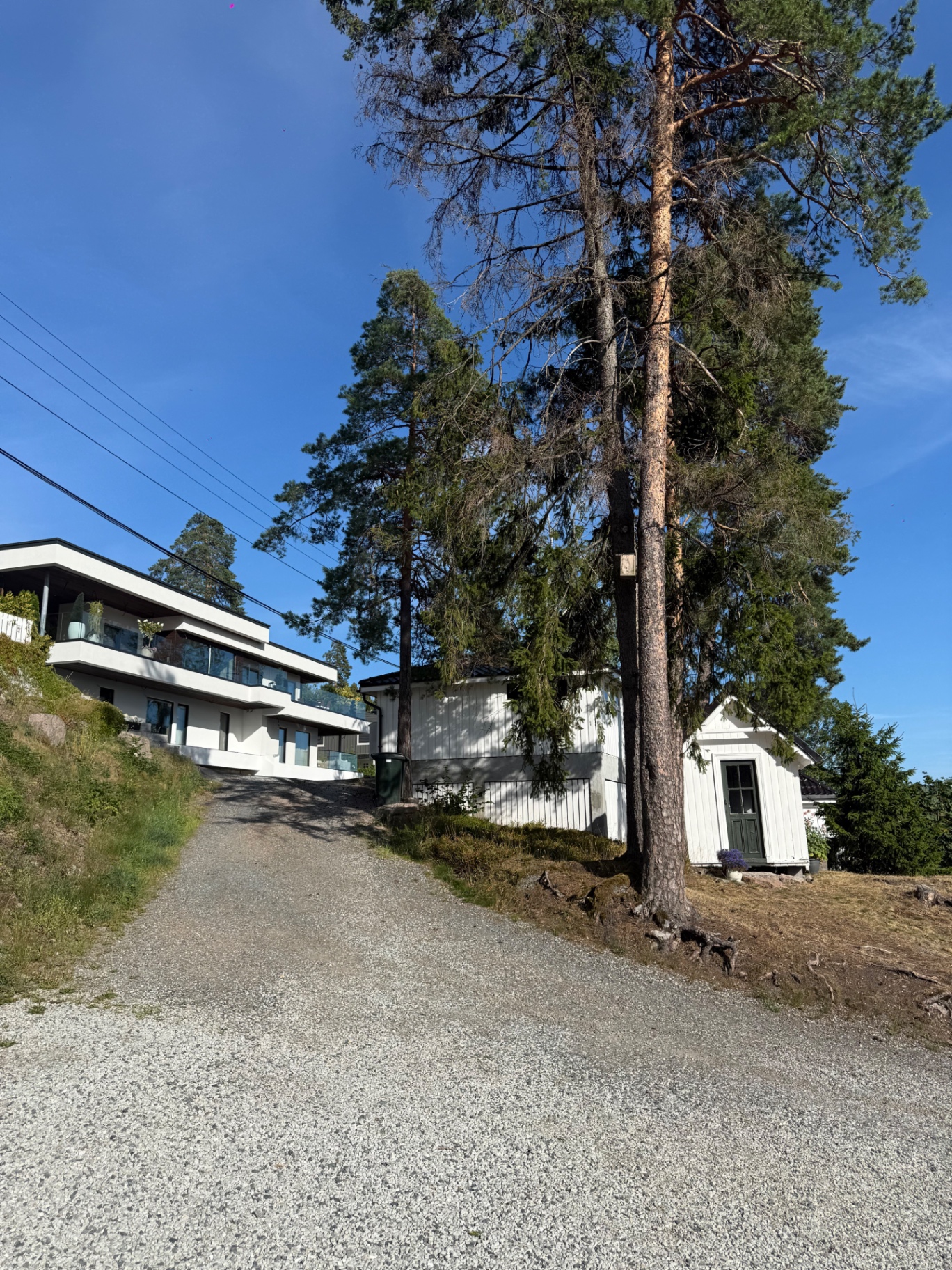 Trefelling og rydding rundt bolig